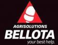 BELLOTA (Беллота)