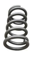 83246.02.01.003 Пружина сжатия