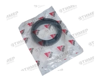 F930301020100 Сальник KZ