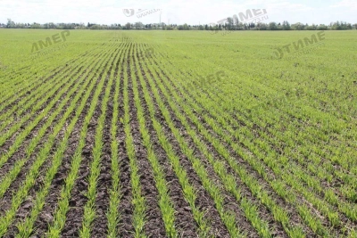 Пневматическая сеялка Salford 580 Hybrid