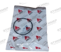 X548960200000 Уплотнительное кольцо KZ