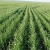 Механические посевные комплексы AGRATOR M
